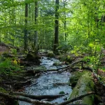 شقة Grosser Arber, Wandern & Sauna, Gemuetliches Im Nationalpark Bayerischen Wald Lindberg