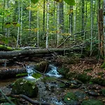 Grosser Arber, Wandern & Sauna, Gemuetliches Im Nationalpark Bayerischen Wald شقة