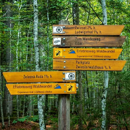 Apartman Grosser Arber, Wandern & Sauna, Gemuetliches Im Nationalpark Bayerischen Wald