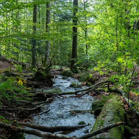 Lägenhet Grosser Arber, Wandern & Sauna, Gemuetliches Im Nationalpark Bayerischen Wald Lindberg