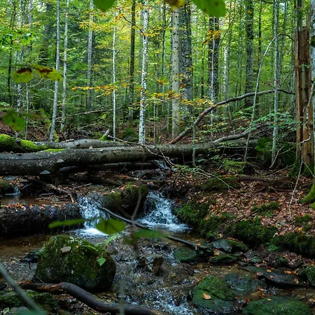 Grosser Arber, Wandern & Sauna, Gemuetliches Im Nationalpark Bayerischen Wald Lägenhet